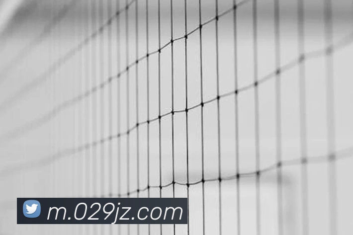 奖项图1